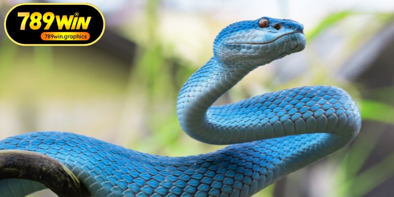 Gợi ý các con số may mắn nhất Gợi ý các con số may mắn nhất