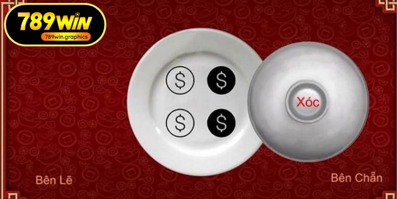 Những điểm quan trọng cần ghi nhớ khi tham gia